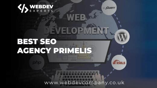 Best SEO Agency Primelis