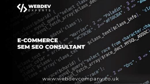 E-Commerce SEM SEO Consultant