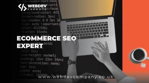 Ecommerce Seo Expert