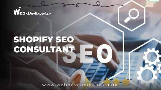 Shopify Seo Consultant