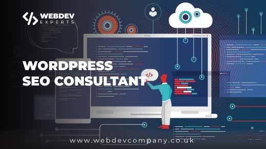 Wordpress Seo Consultant