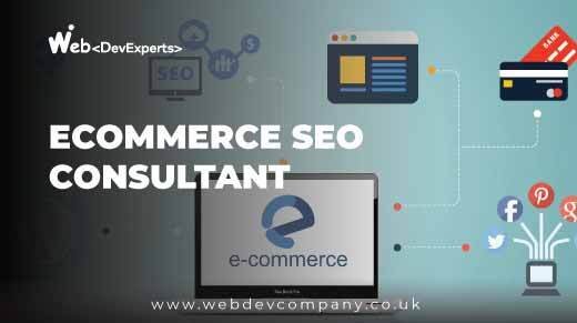 Ecommerce Seo Consultant