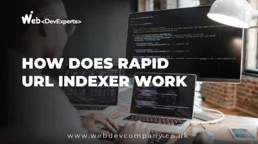 How Does Rapid Url Indexer Work