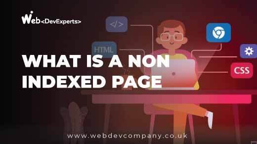 What Is a Non Indexed Page