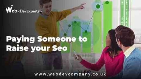 Paying Someone to Raise your Seo Enhance Your Rankings